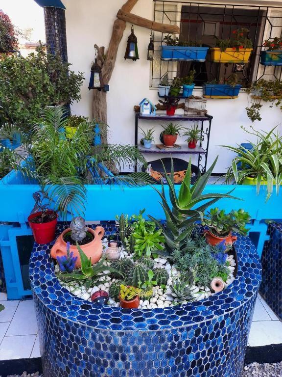 Maison D Hotes Marine Ksar Sghir ภายนอก รูปภาพ