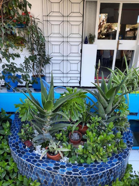 Maison D Hotes Marine Ksar Sghir ภายนอก รูปภาพ