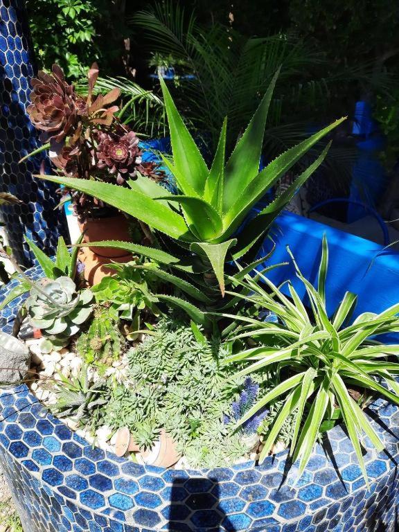 Maison D Hotes Marine Ksar Sghir ภายนอก รูปภาพ