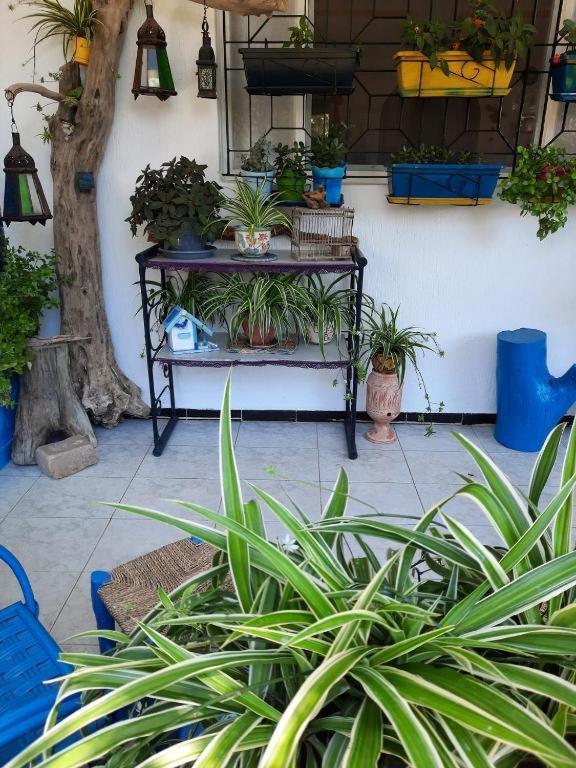 Maison D Hotes Marine Ksar Sghir ภายนอก รูปภาพ