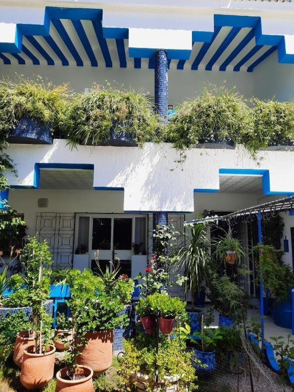 Maison D Hotes Marine Ksar Sghir ภายนอก รูปภาพ