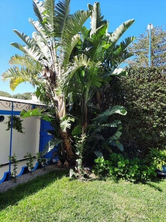 Maison D Hotes Marine Ksar Sghir ภายนอก รูปภาพ