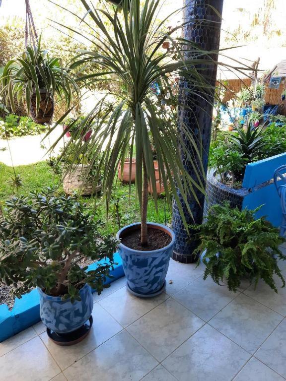 Maison D Hotes Marine Ksar Sghir ภายนอก รูปภาพ