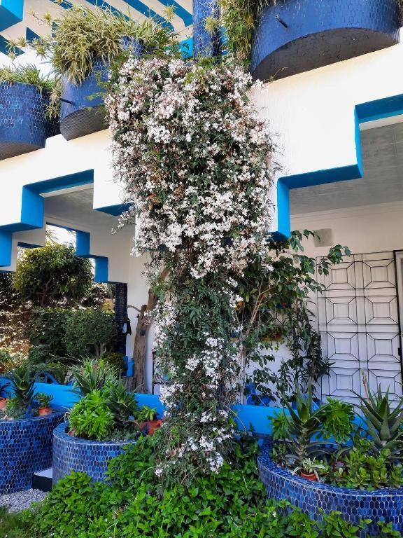 Maison D Hotes Marine Ksar Sghir ภายนอก รูปภาพ