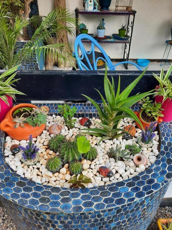 Maison D Hotes Marine Ksar Sghir ภายนอก รูปภาพ